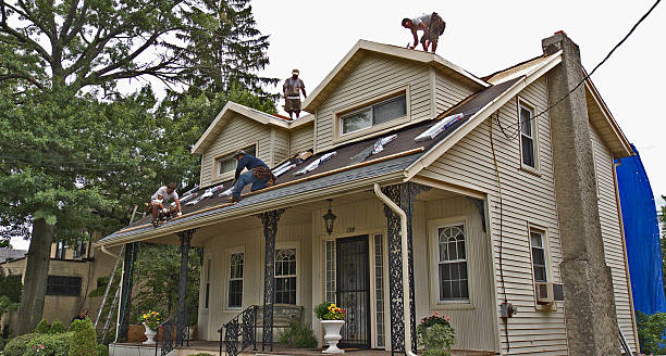 Best Best Roofing Contractors  in Little Elm, TX